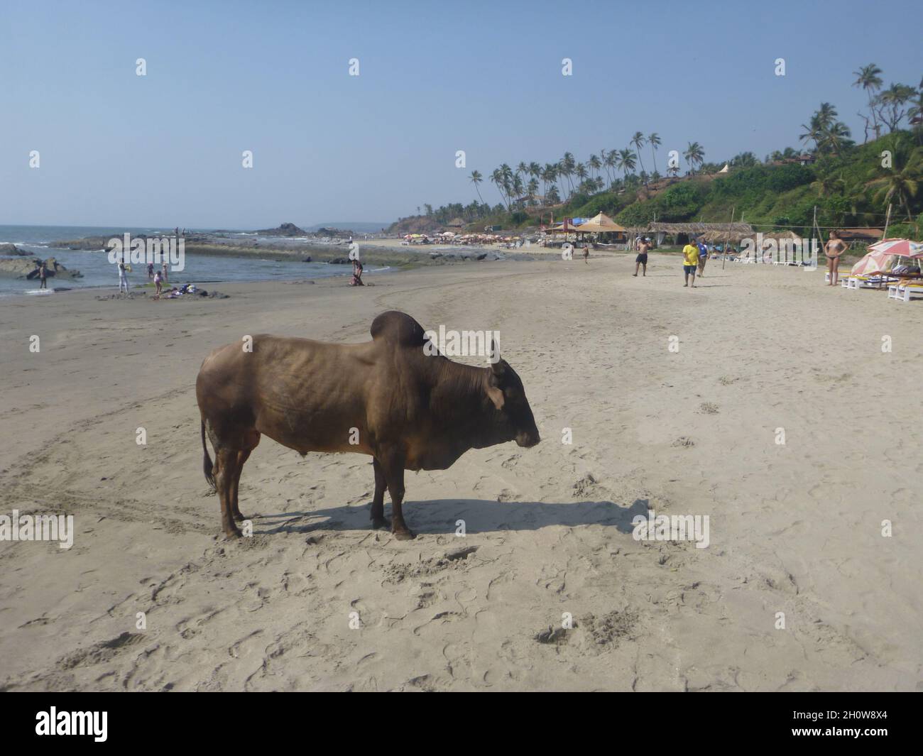 Vagator-Beach, Goa, Indien Stock Photo