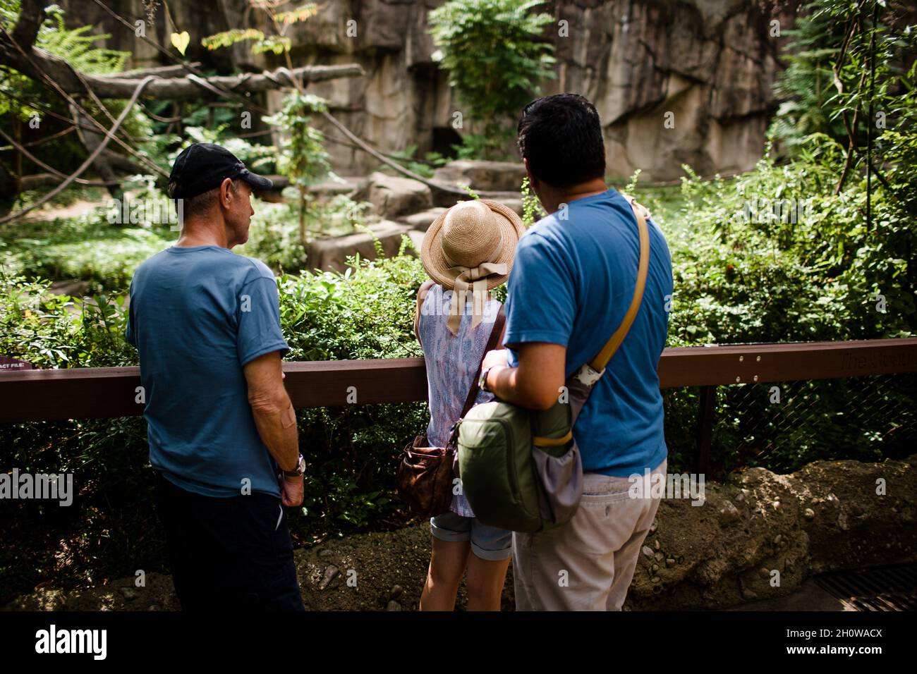 Couple Standing with Son in Law at Cincinnati Zoo Stock Photo