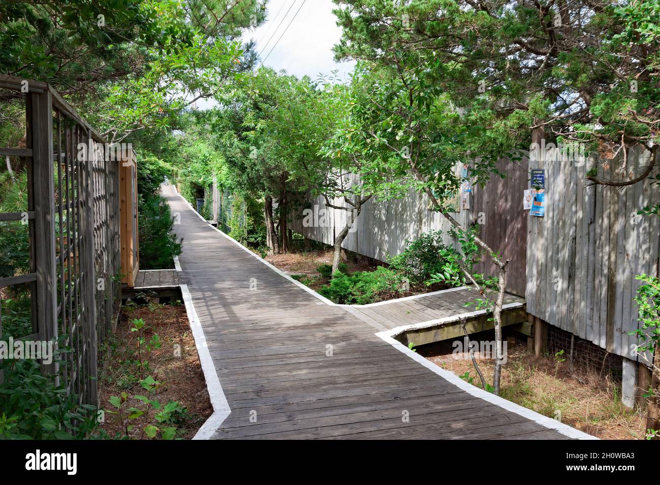 The boardwalk in Cherry Grove, Fire Island, New York that connects all homes, stores, and beach in the popular LGBTQ community. Stock Photo