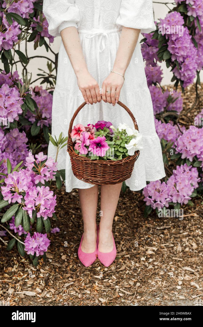 Basket with flowers in hands and rhododendron bushes. Stock Photo