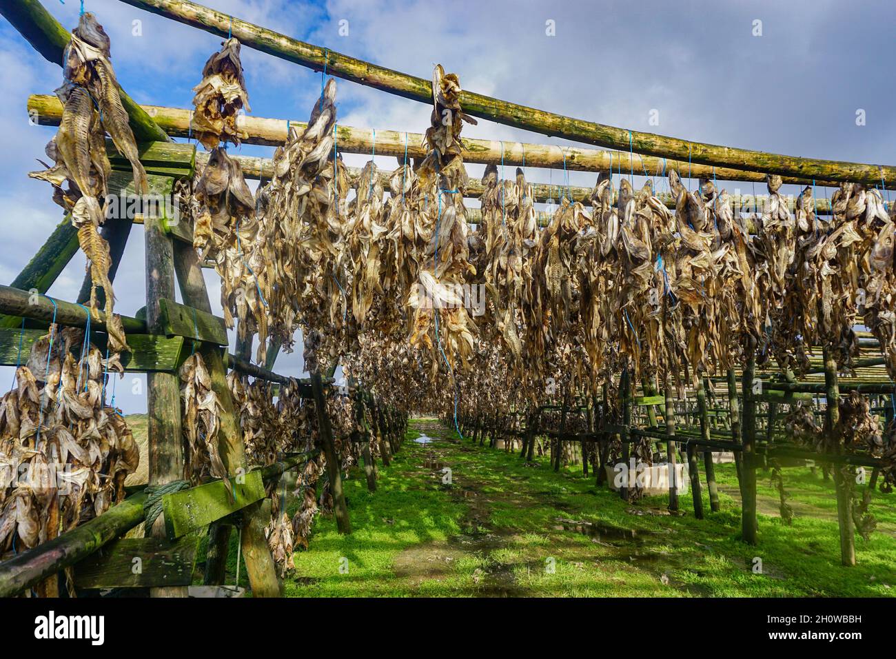 Reykjanes peninsula exploration hi-res stock photography and images - Alamy