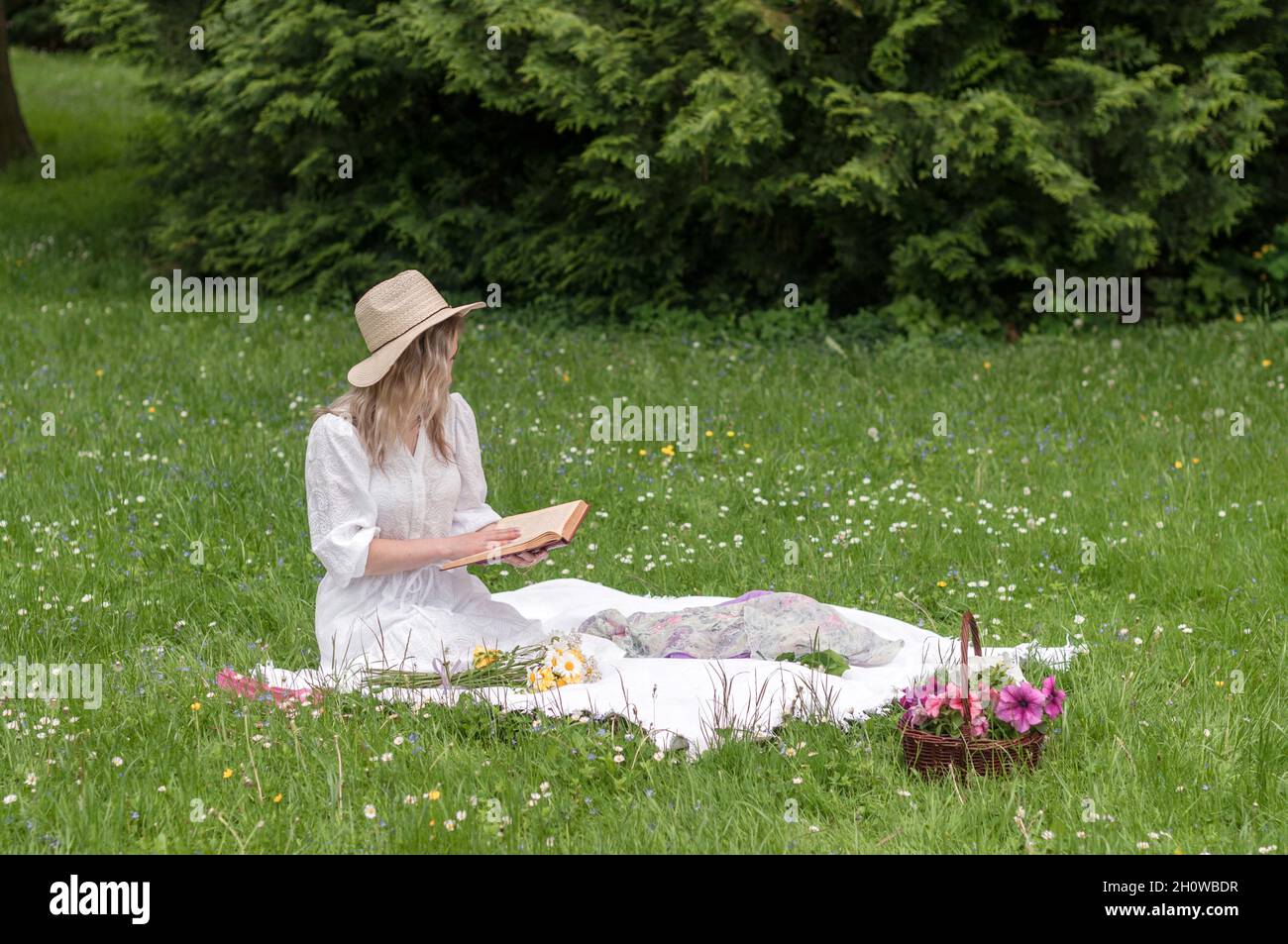 A girl reading a book on a blanket in the forest. Stock Photo
