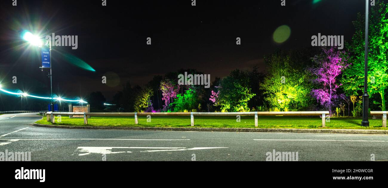 Burton Marina in the Burton Under Needwood in autumn 2021,view on trees