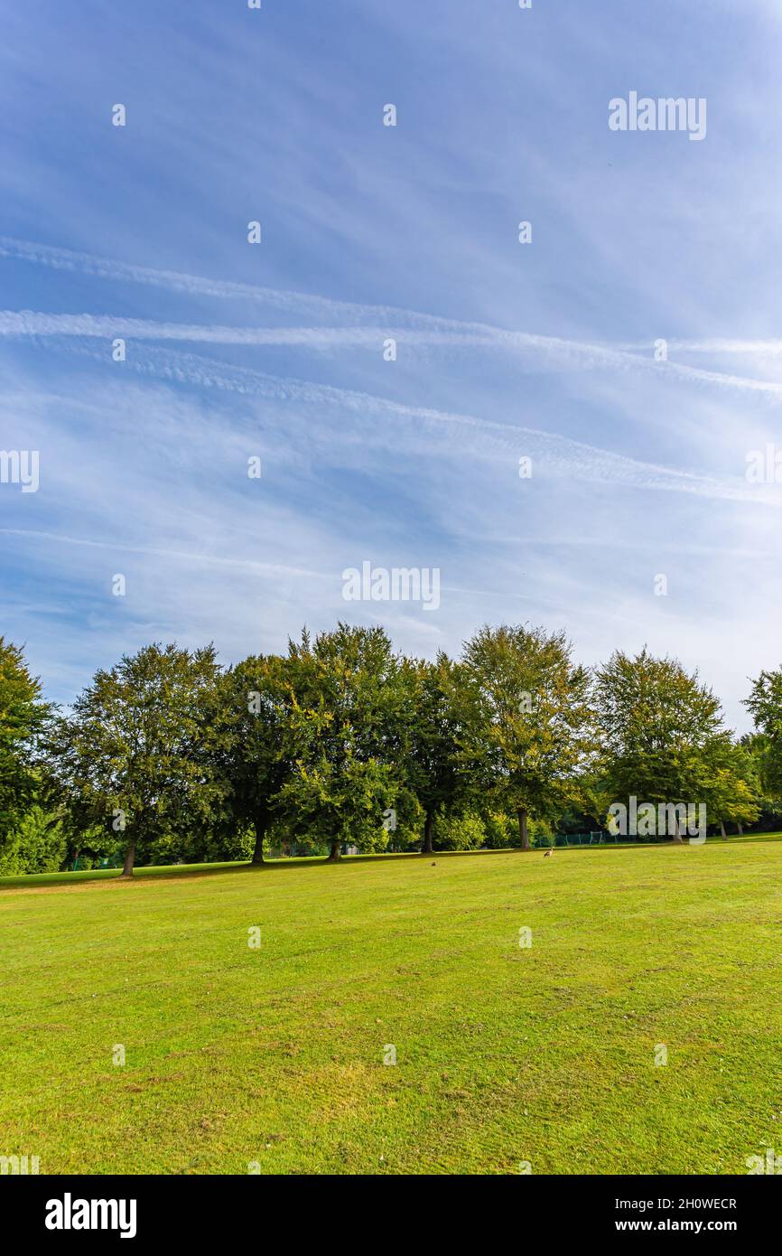 Scenic green landscape with lush trees in the background Stock Photo ...