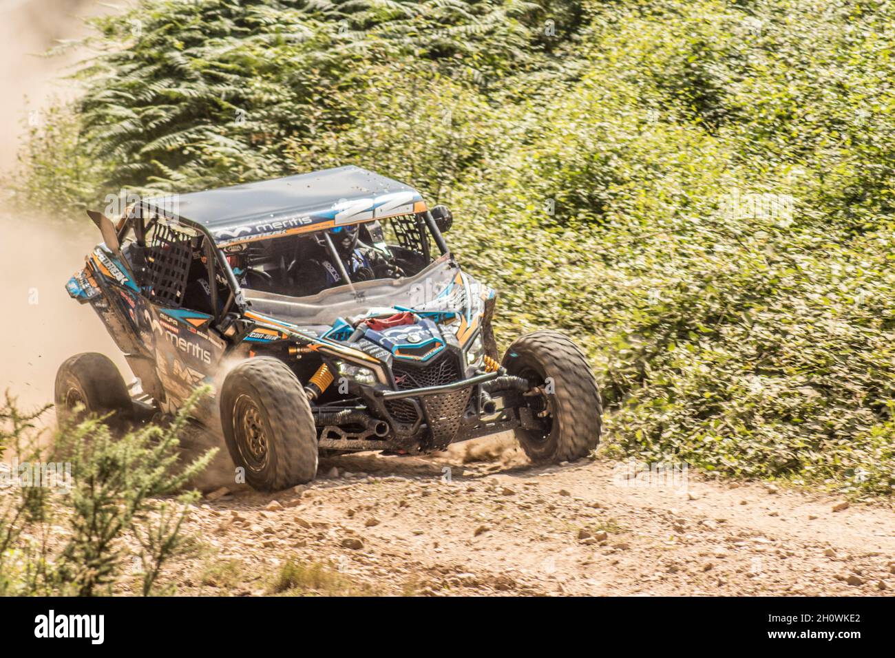 Dune buggy action hi-res stock photography and images - Page 2 - Alamy