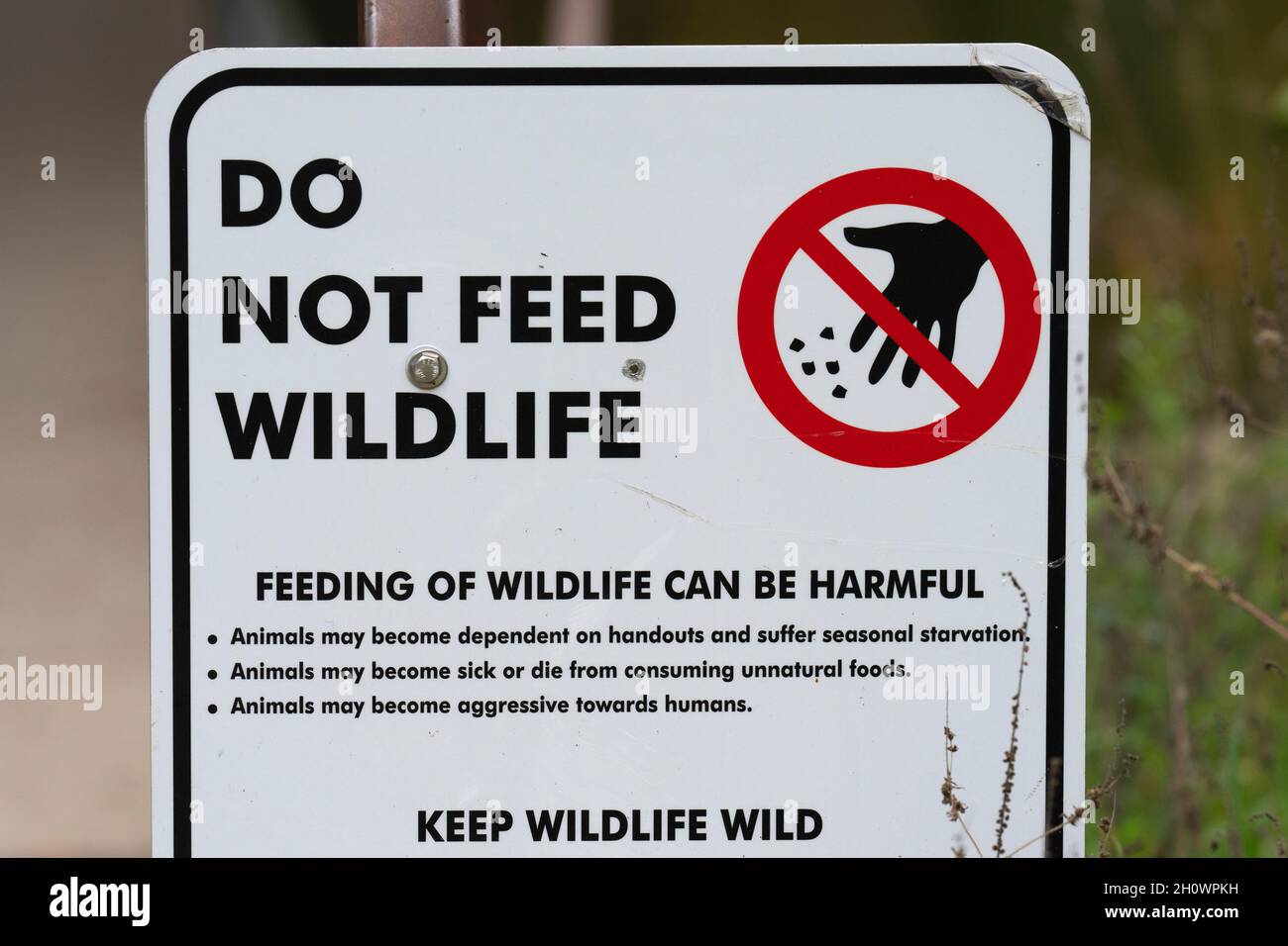 Don't feed the animals hires stock photography and images Alamy