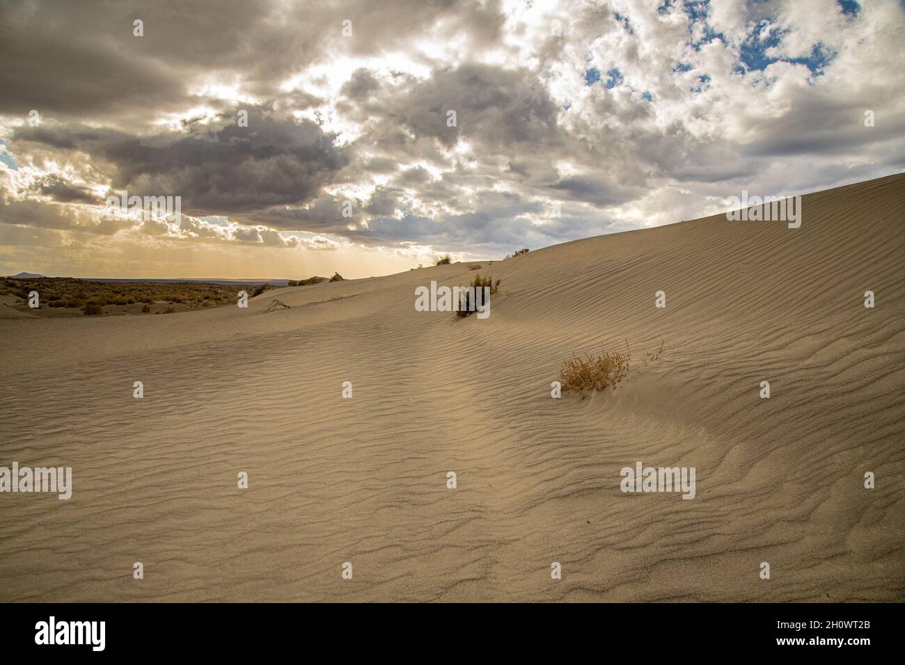Dune under moody clouds and light. Shot in the Christmas Valley Dunes