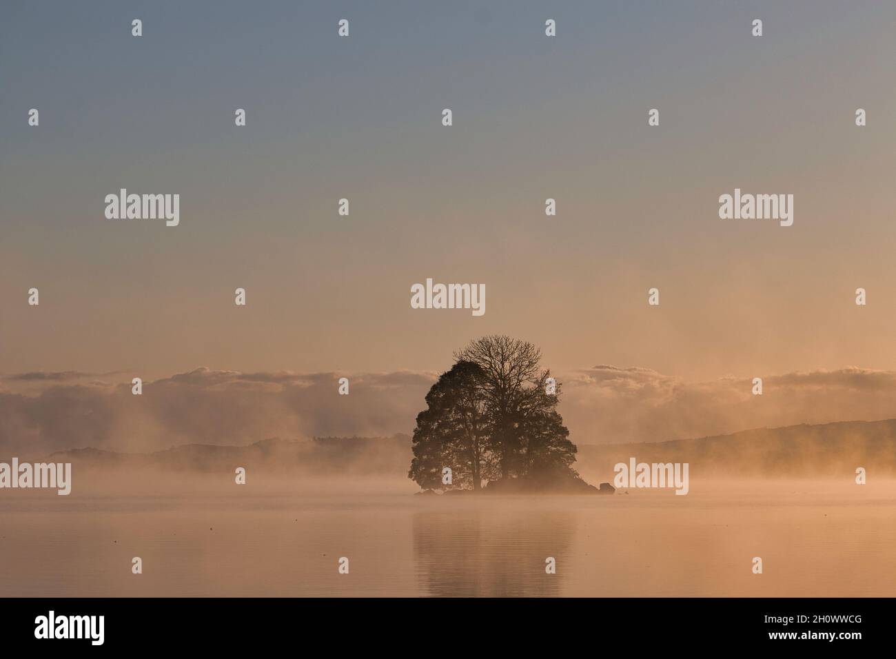 A single island on a misty sunlit lake at dawn Stock Photo