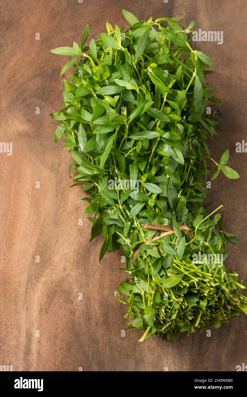 bunch of sessile joyweed leaves or dwarf copperleaf on a wooden table top, green leafy vegetable for cooking, closeup with copy space Stock Photo