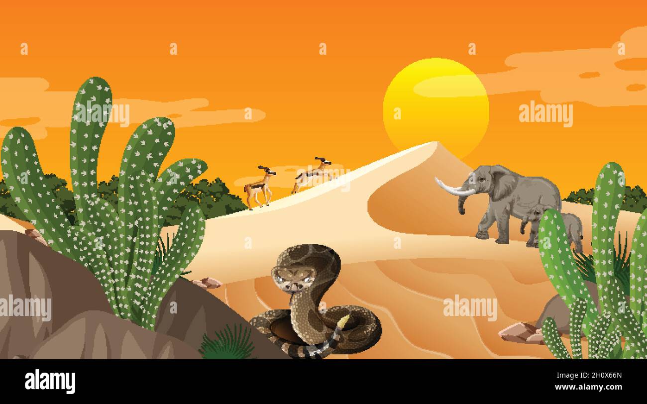 Desert forest landscape at sunset time scene with wild animals ...