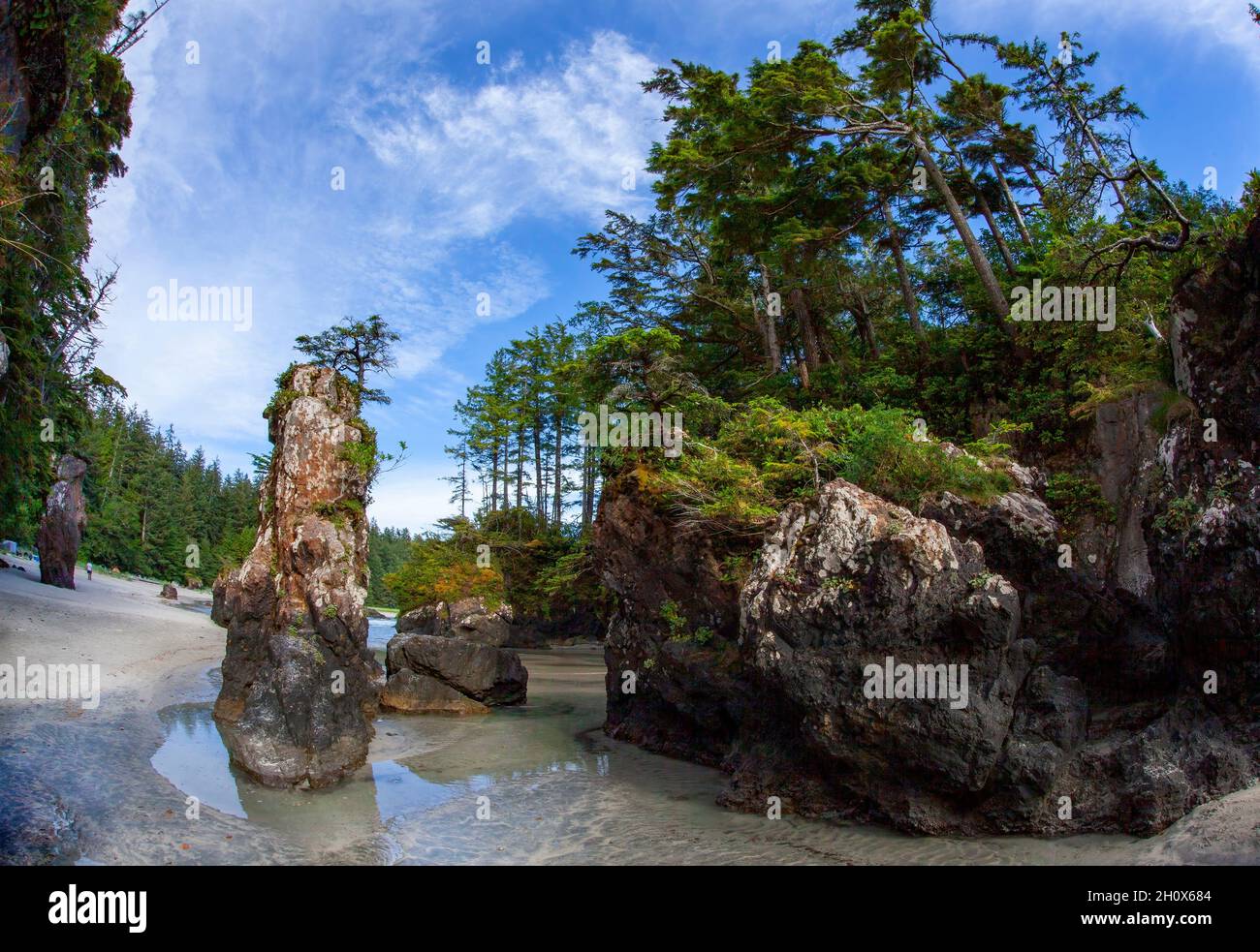 Beach at San Josef Bay, Cape Scott Provincial Park, Vancouver Island, British Columbia, Canada