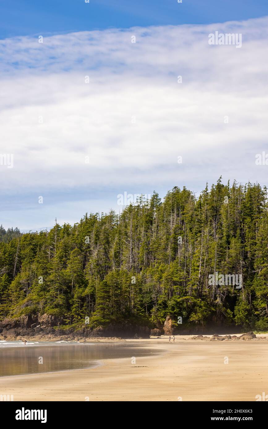 Beach at San Josef Bay, Cape Scott Provincial Park, Vancouver Island, British Columbia, Canada