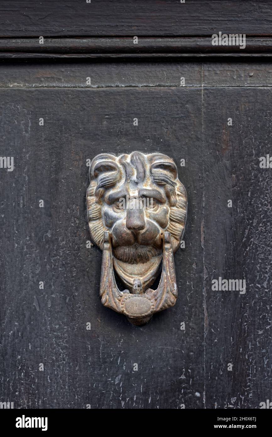 Aldaba de bronce con forma de león en una puerta de Aín. Stock Photo