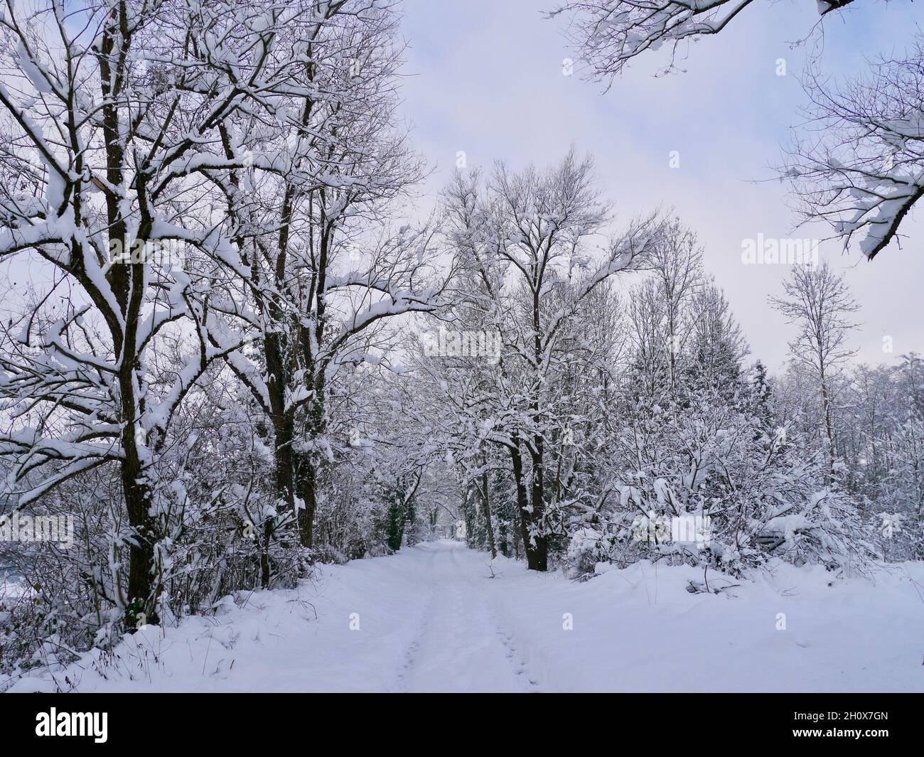 Winter wonderland deeply covered in snow. Feldkirch, Austria Stock ...