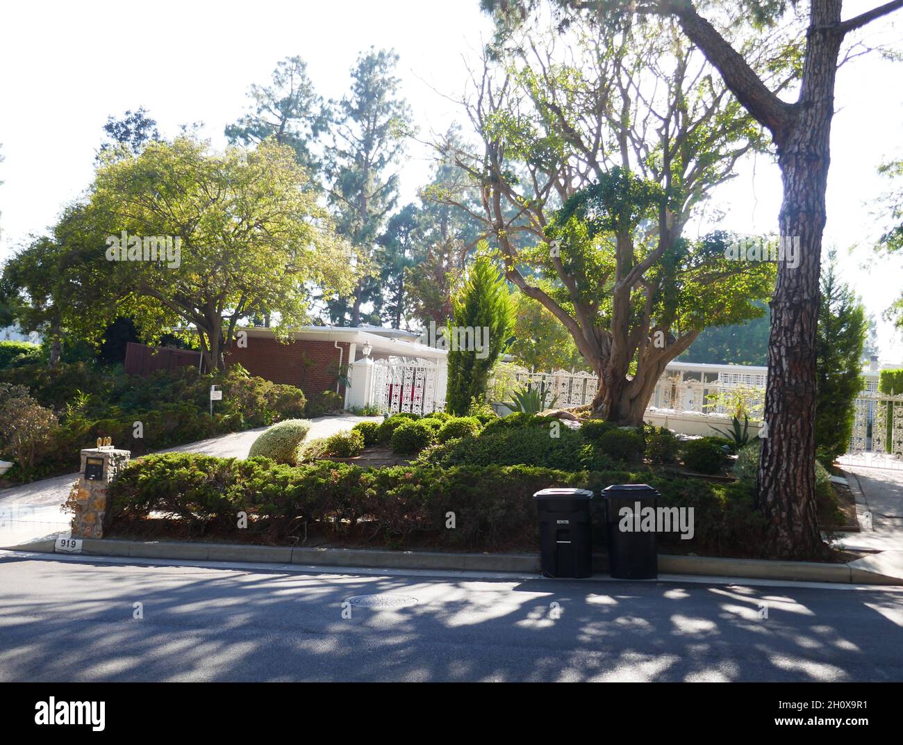 Donna reed actress hires stock photography and images Alamy