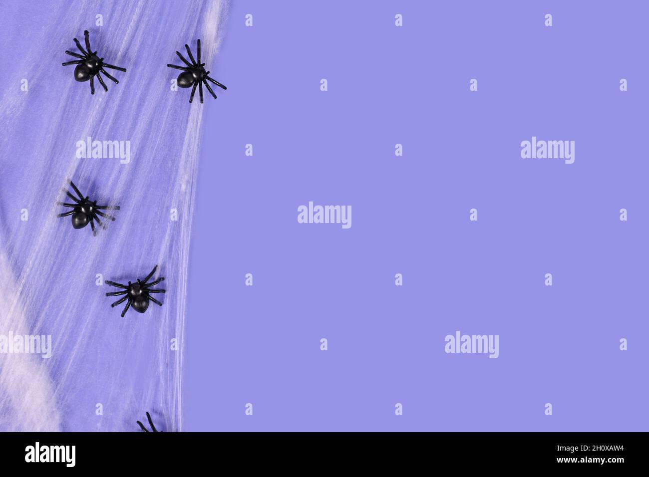 Spider webs and plastic spiders on side of purple Halloween background ...