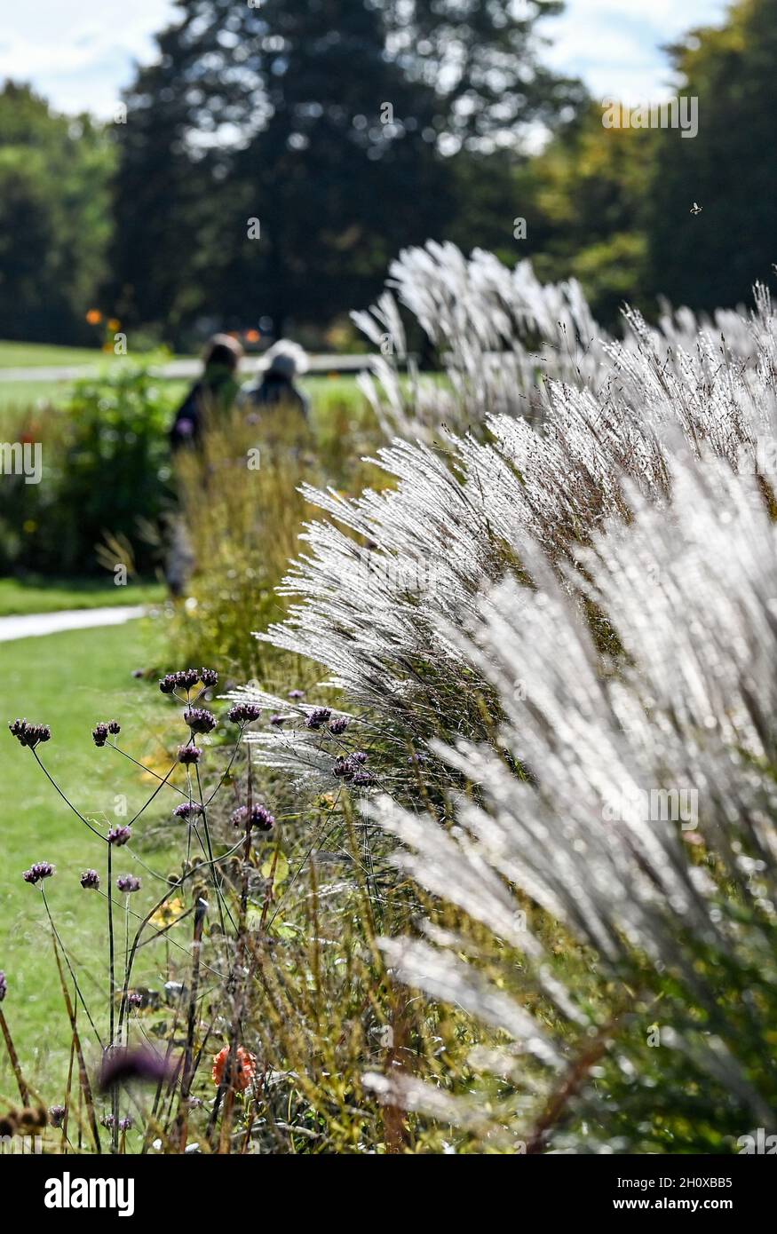 36+ Britzer Garten In Autumn, It’s a great place to walk or.