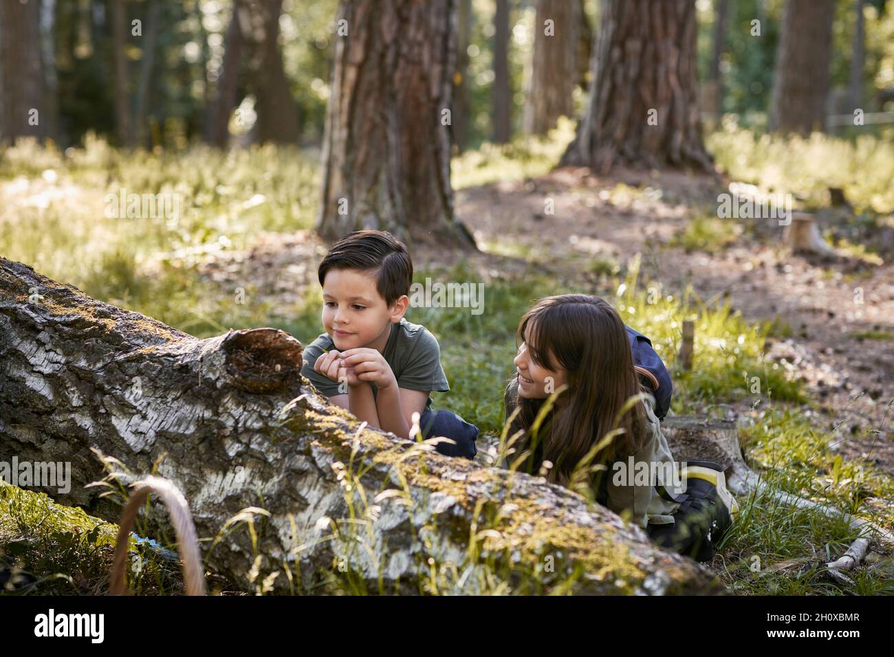 Boy and girl sitting near fallen tree in forest Stock Photo - Alamy