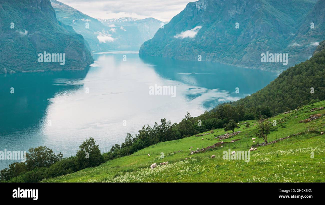 Sogn And Fjordane Fjord, Norway. Amazing Fjord Sogn Og Fjordane. In Fog Clouds. Summer Scenic View Of Famous Natural Attraction Landmark And Popular Stock Photo