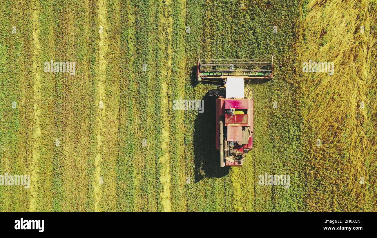 Aerial View Of Rural Landscape. Combine Harvester Working In Field ...