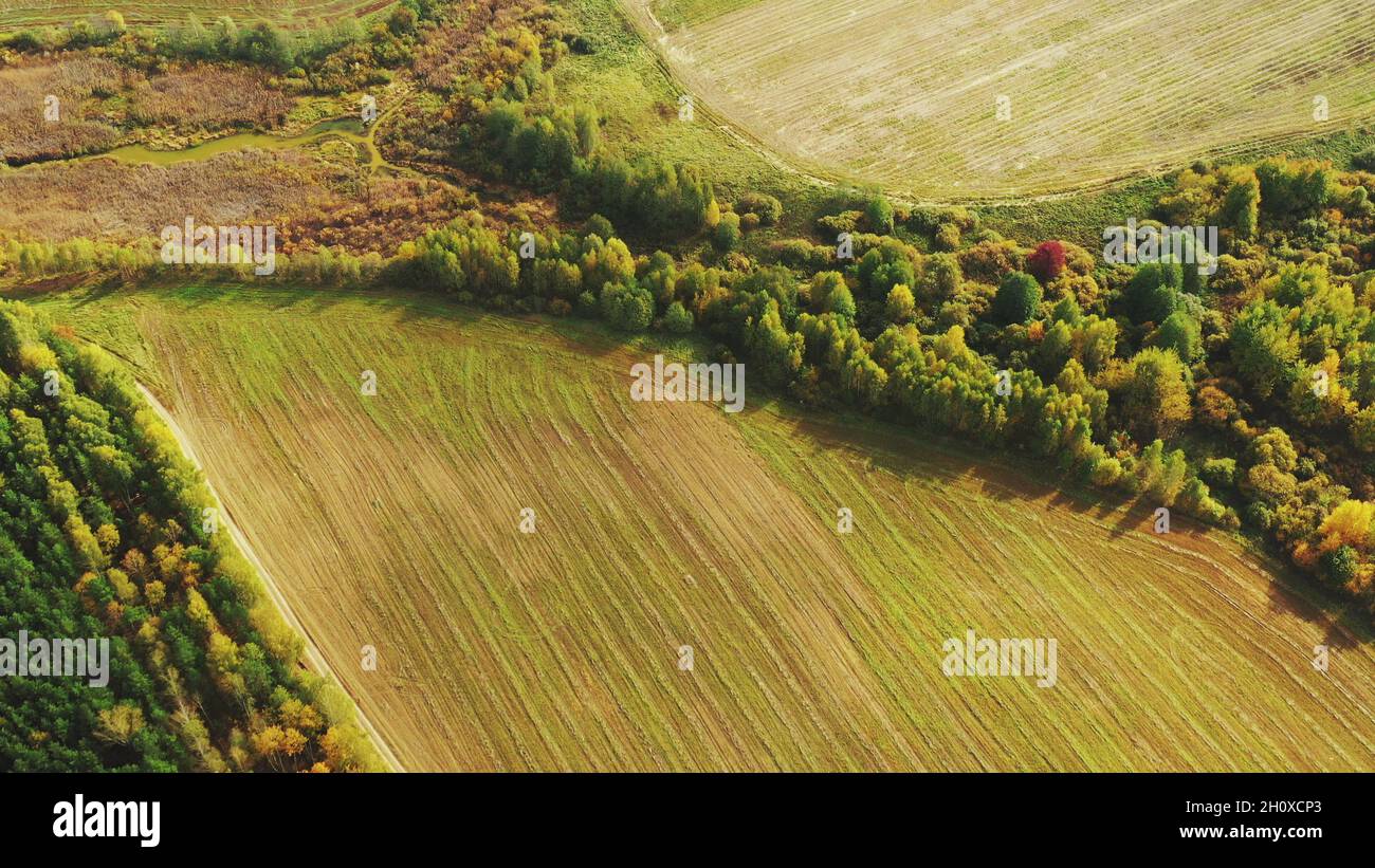 Aerial View Autumn Empty Field With Windbreaks Landscape. Top View Of Clean Field. Drone View Bird's Eye View. A Windbreak Or Shelterbelt Is A Stock Photo
