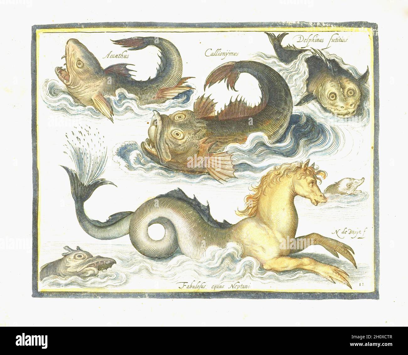 Nicolaes de Bruyn - Seahorse and Imaginary Aquatic Creatures - late 1500's-early 1600's Stock Photo