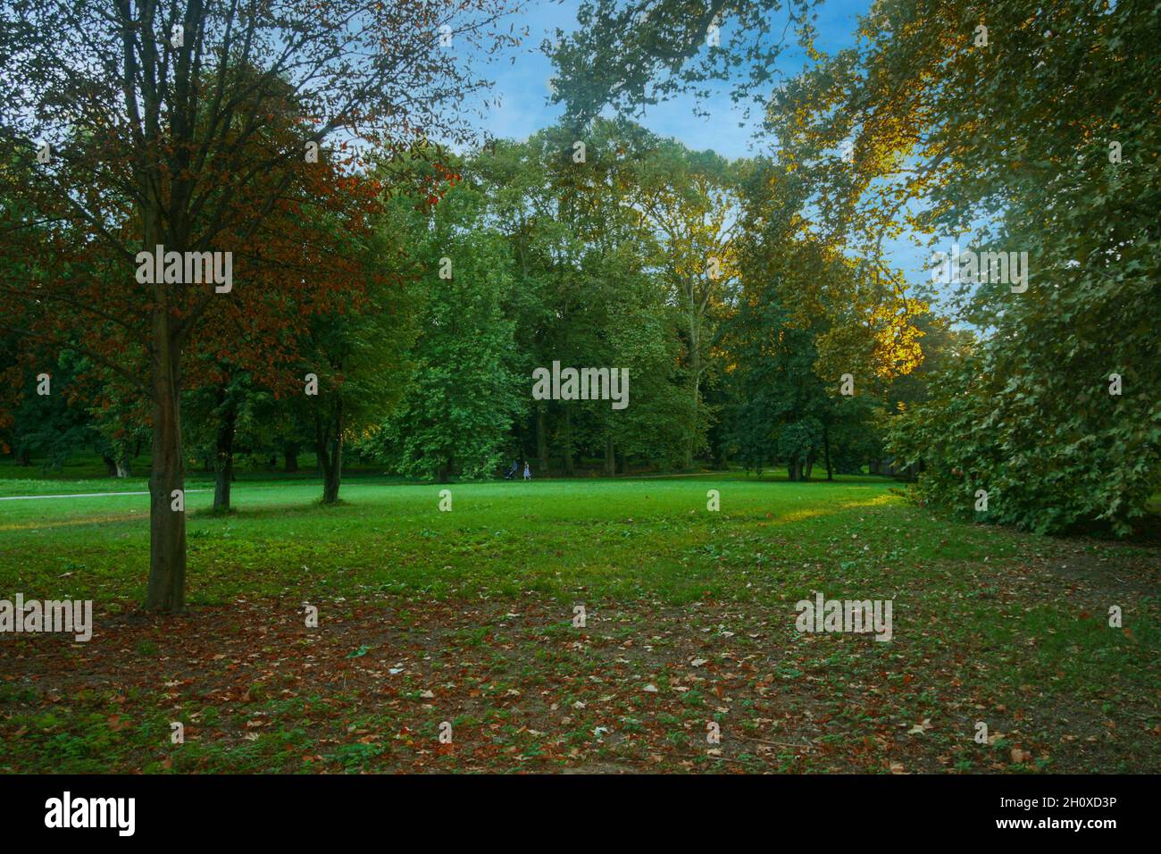 Henrietta gardens hires stock photography and images Alamy