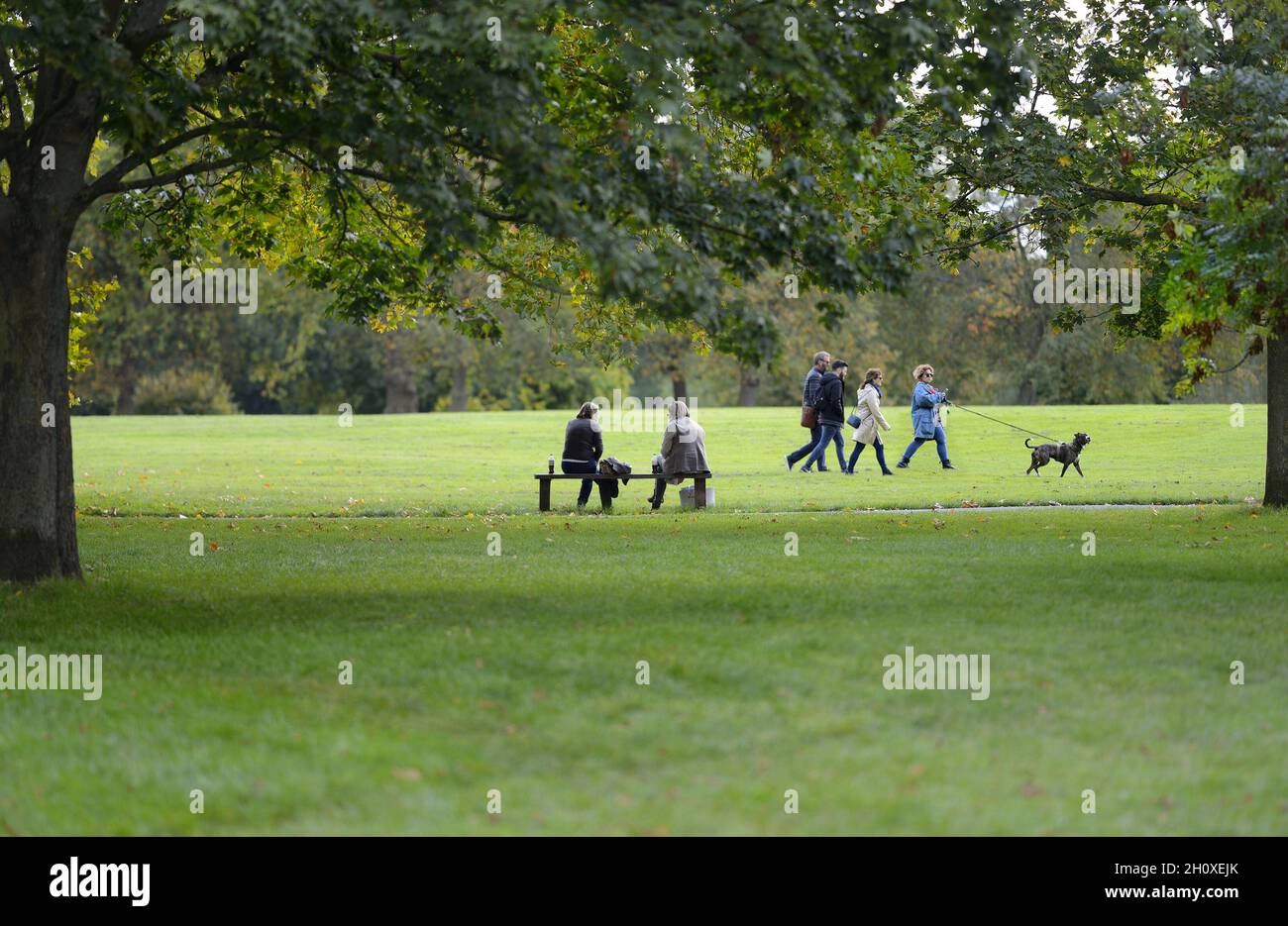 London, England, UK. Regent's Park: two women talking on a bench, people walking past with a dog Stock Photo