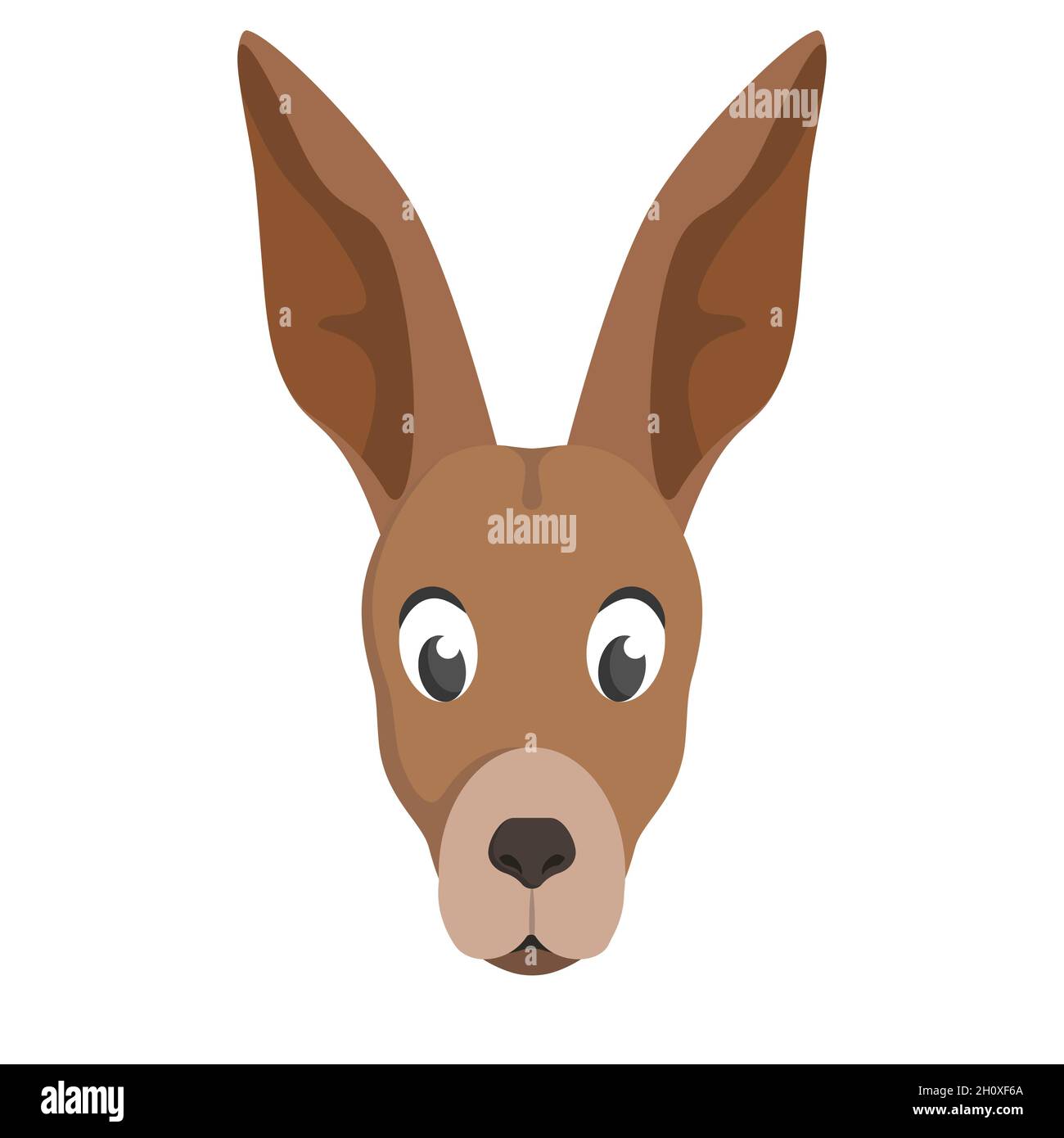 Kangaroo face Cut Out Stock Images & Pictures - Alamy