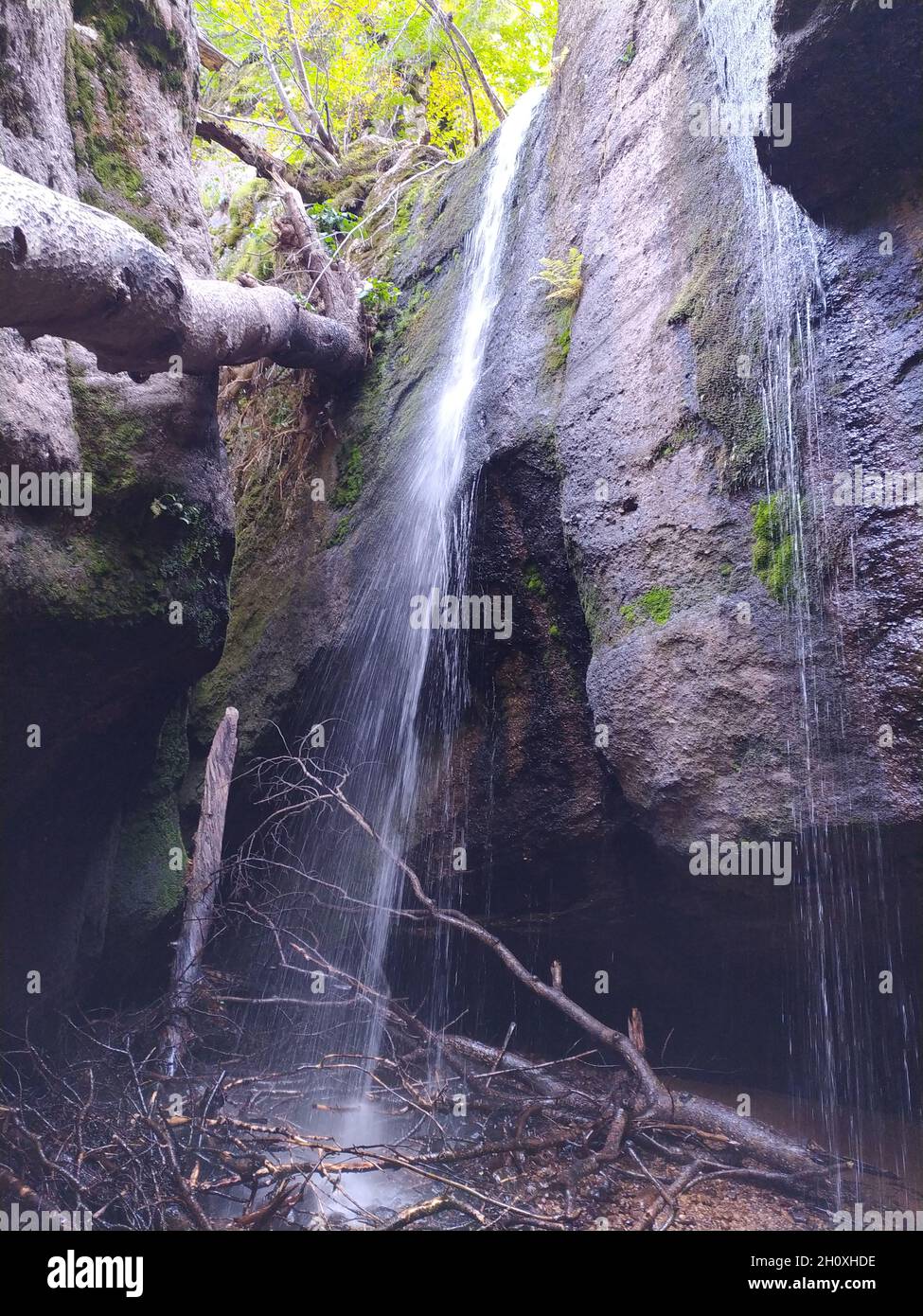 Natural view of a waterfall in a forest Stock Photo - Alamy