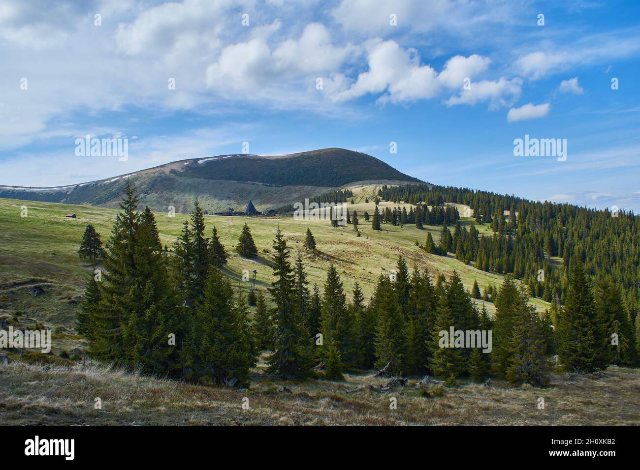 Panoramic view from the ski slope in mountains Sureanu with peak cloud sky and fir trees Stock Photo