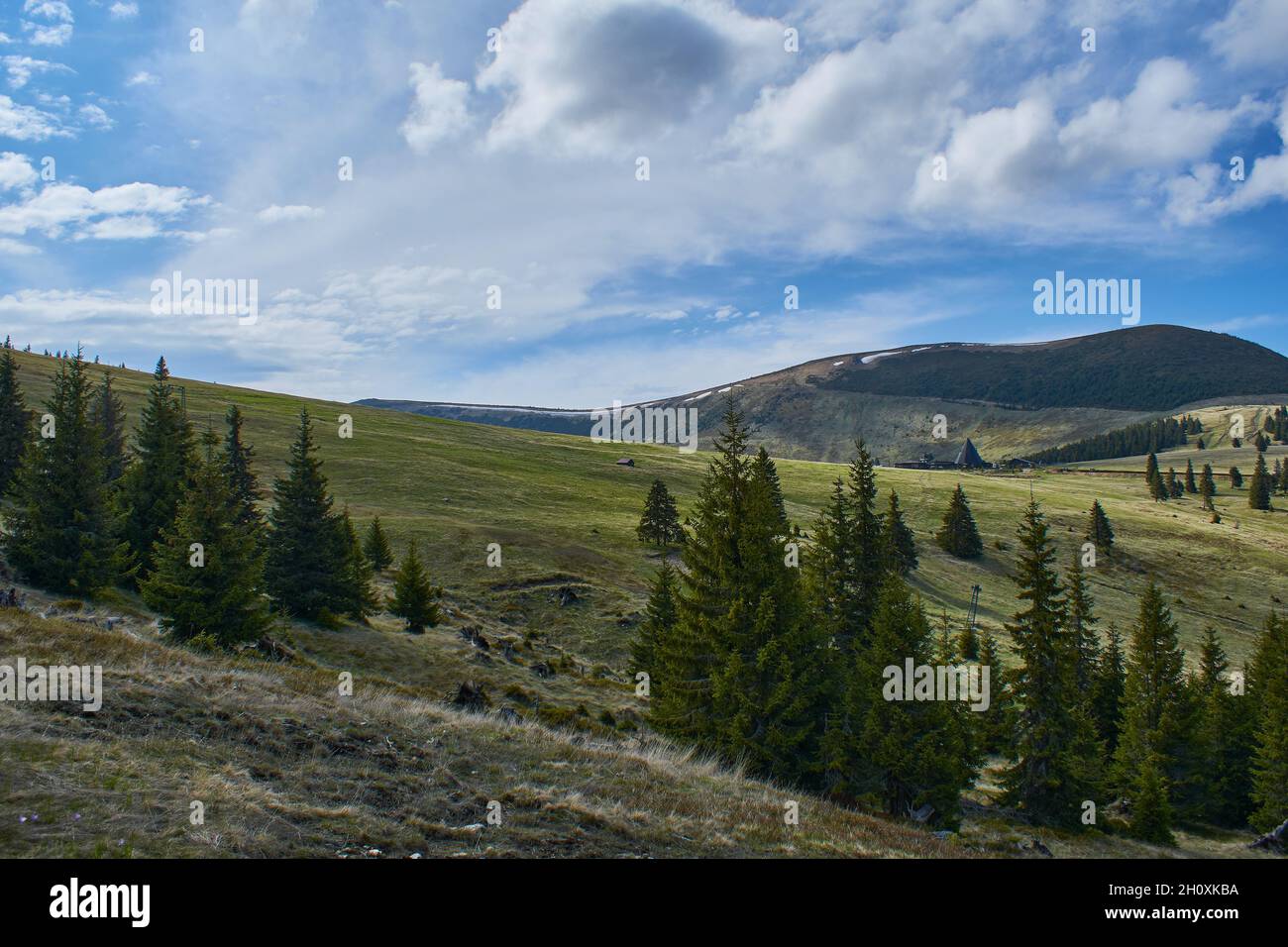 Panoramic view from the ski slope in mountains Sureanu with peak cloud sky and fir trees Stock Photo