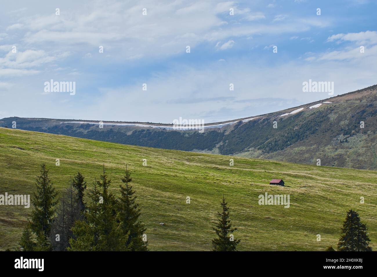 Panoramic view from the ski slope in mountains Sureanu with peak cloud sky and fir trees Stock Photo