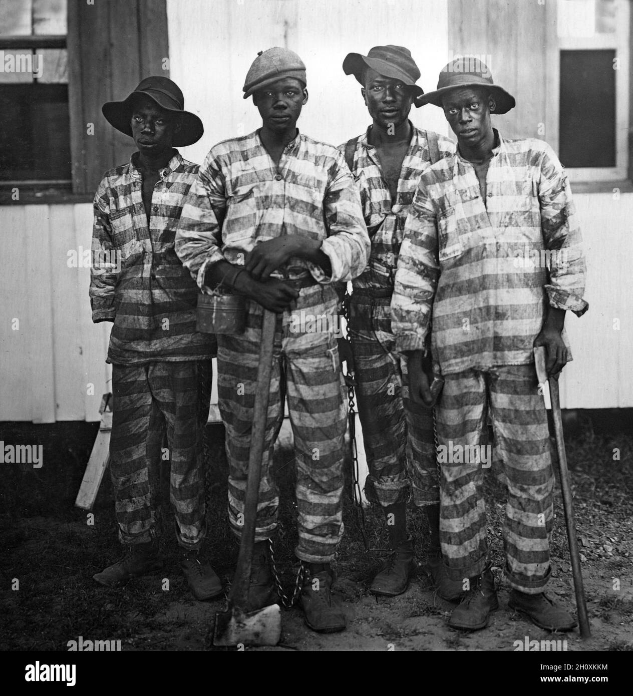 Vintage photo circa 1915 of African American convicts wearing leg shackles and striped prison uniforms leased to harvest timber in Florida.  Jim Crow racial restrictions were enforced by the harsh penal system employed in the Southern states. In exchange for kickbacks or bribes convict labour was used to reduce costs for farmers, construction companies and lumber companies Stock Photo