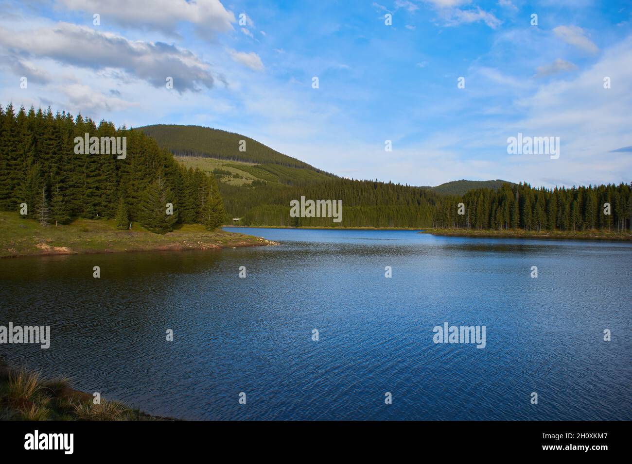 A view over the Lake Oasa in Mountains Sureanu with sky with clouds and forest Stock Photo