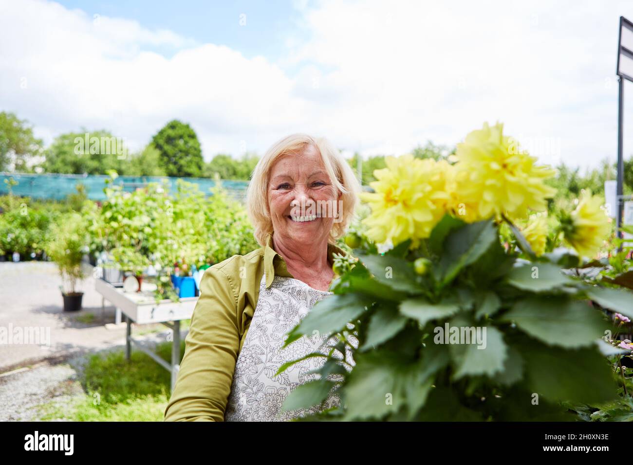 Happy elderly woman as a gardener in the garden center selling flowers ...