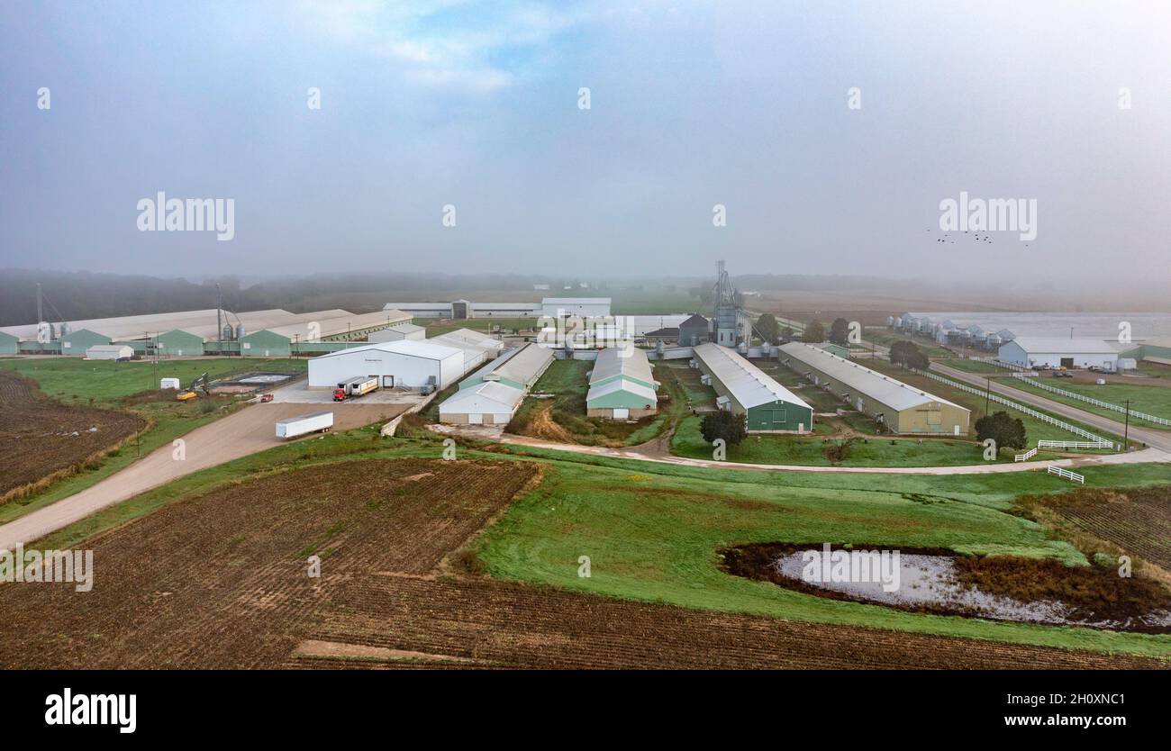 Martin, Michigan - An aerial view of the Vande Bunte Egg Farm. The farm keeps 2.7 million laying hens and 750,000 pullets. Stock Photo