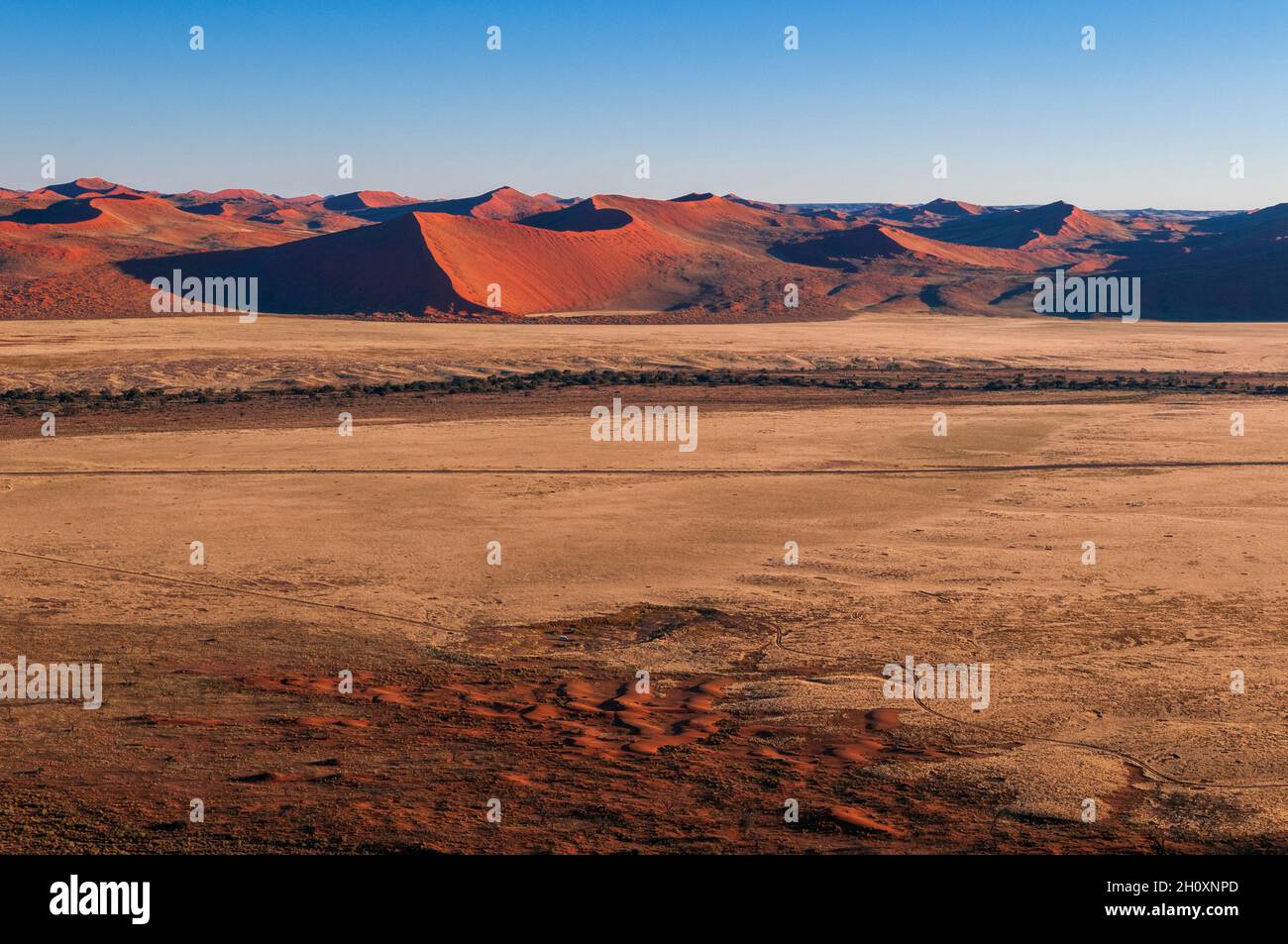 An aerial view of red sand dunes in the Namib desert. Namib Naukluft Park, Namib Desert, Namibia. Stock Photo