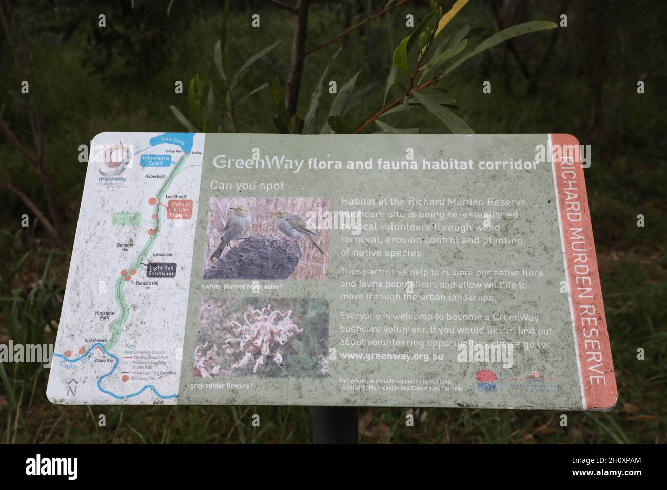 Greenway flora and fauna habitat corridor, Richard Murden Reserve