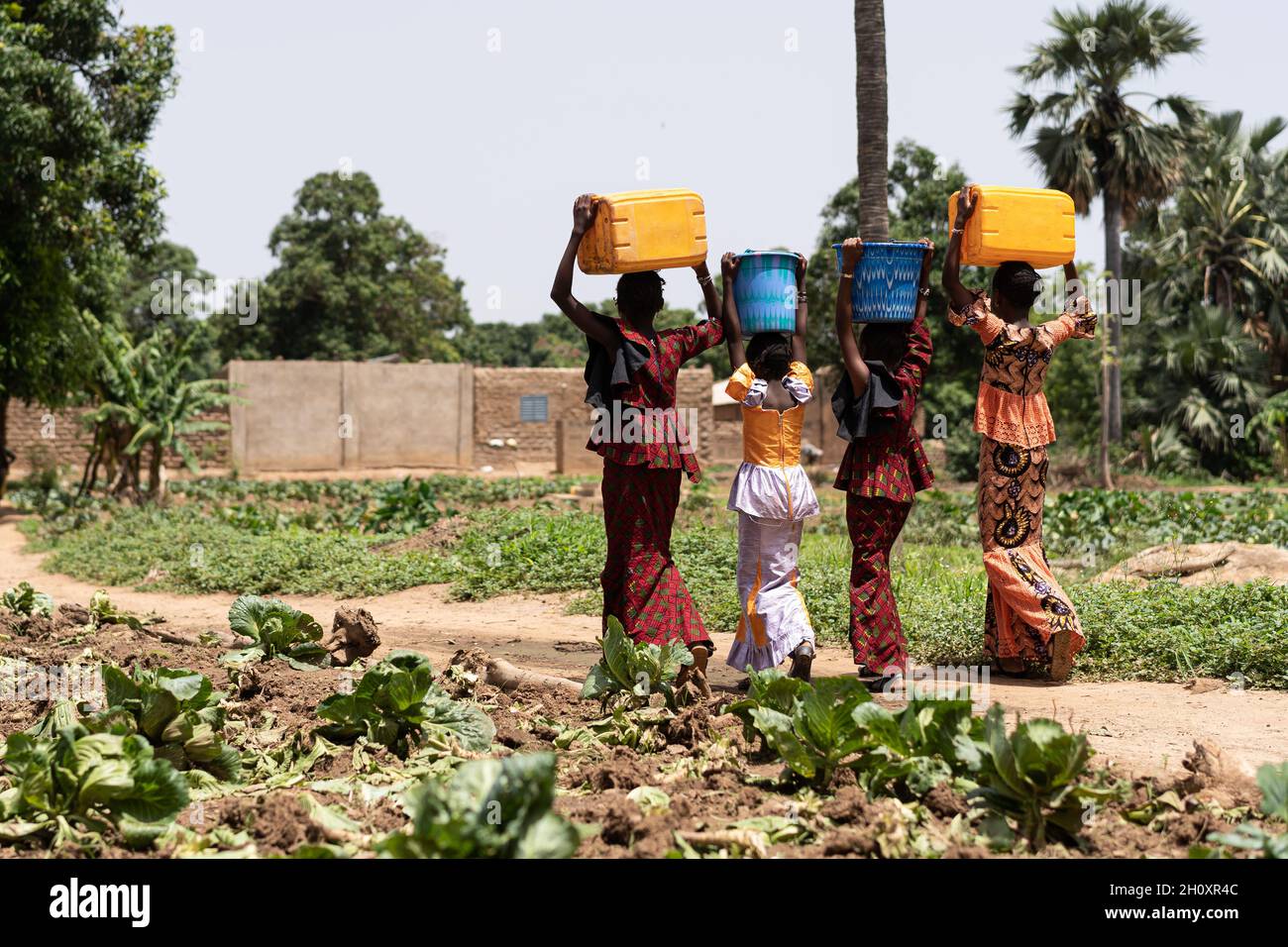 Group of young black West African girls carrying heavy water containers on their head; child labor concept Stock Photo