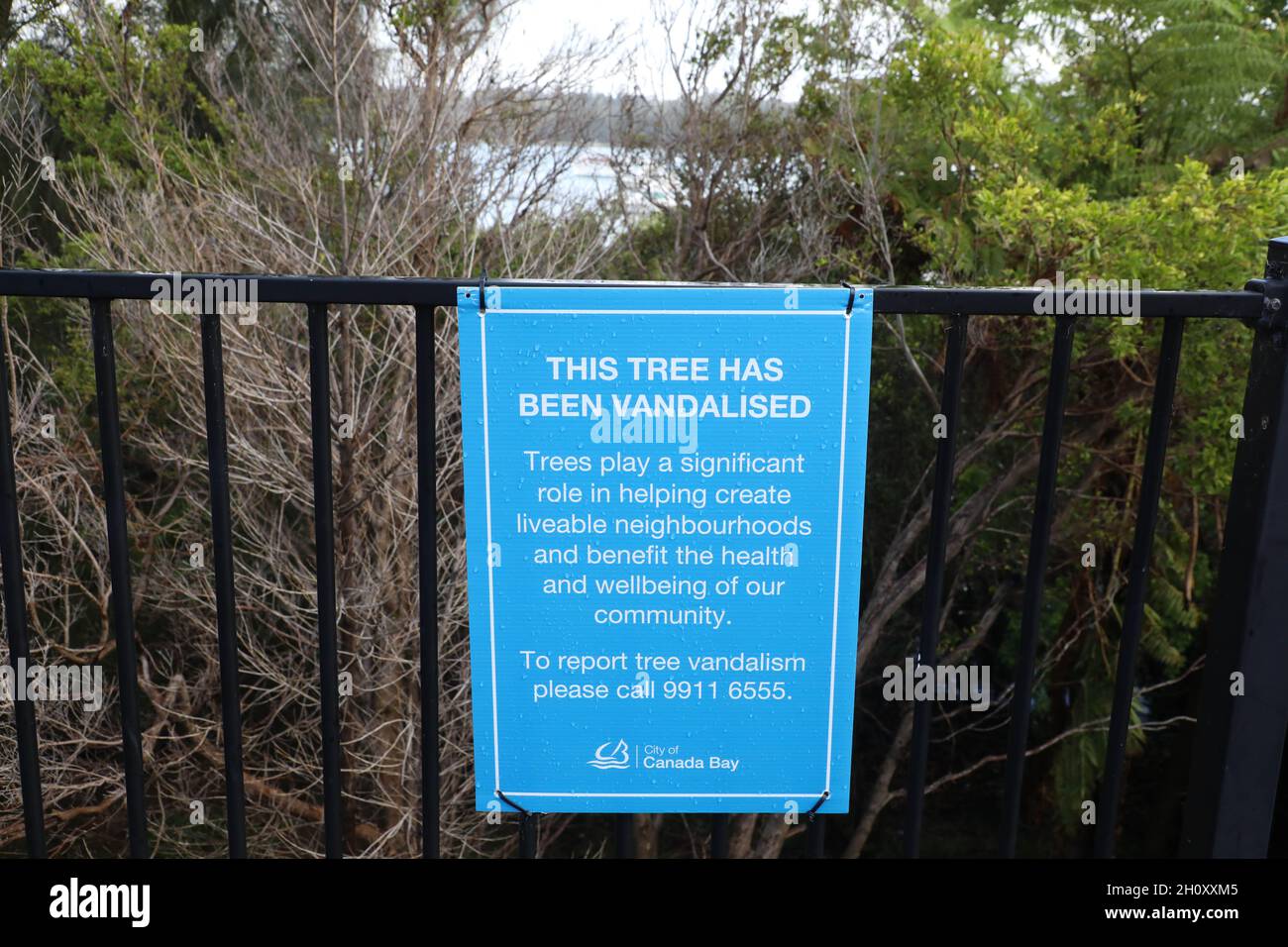 ‘This Tree Has Been Vandalised’ sign next to the Parramatta River in Drummoyne. Stock Photo