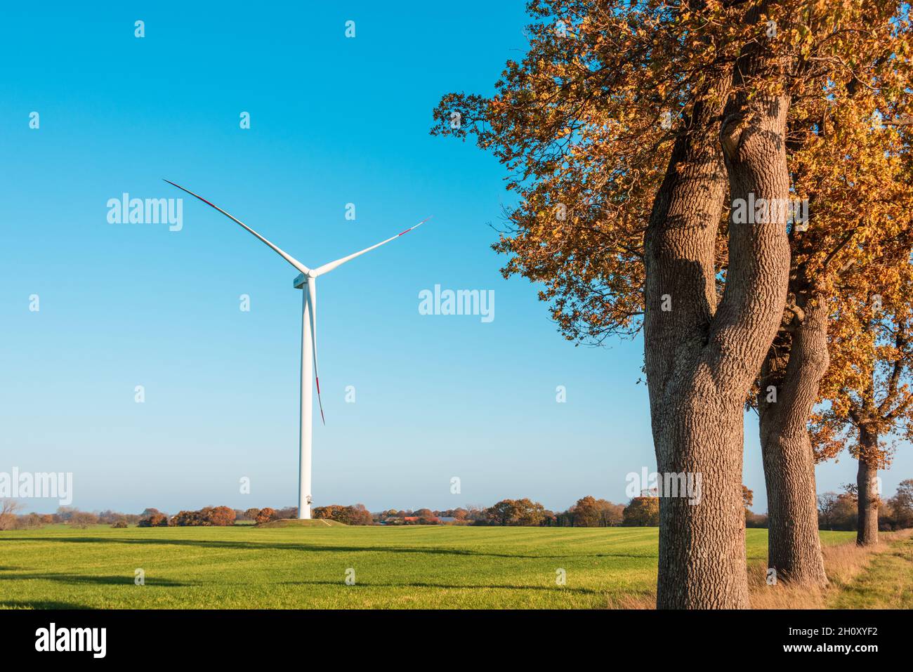 Windpark auf einem Feld in Schleswig-Holstein im Herbst Stock Photo