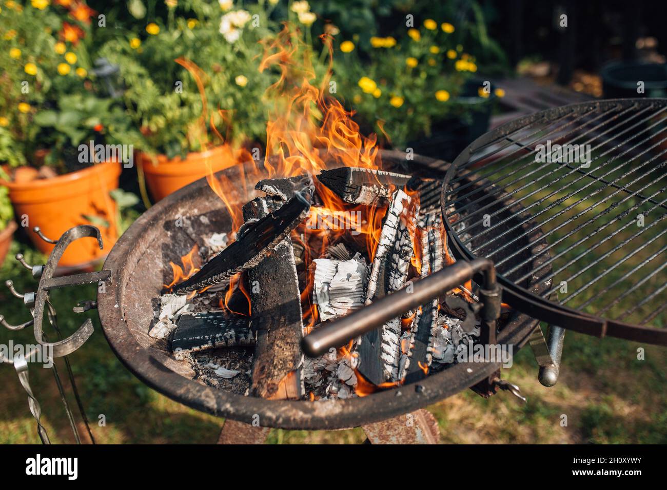 Birch Firewood In The Barbecue Grill Cooking Meat On A Fire In The Backyard Party Stock Photo