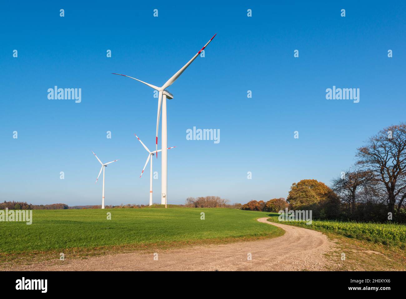 Windpark auf einem Feld in Schleswig-Holstein im Herbst Stock Photo