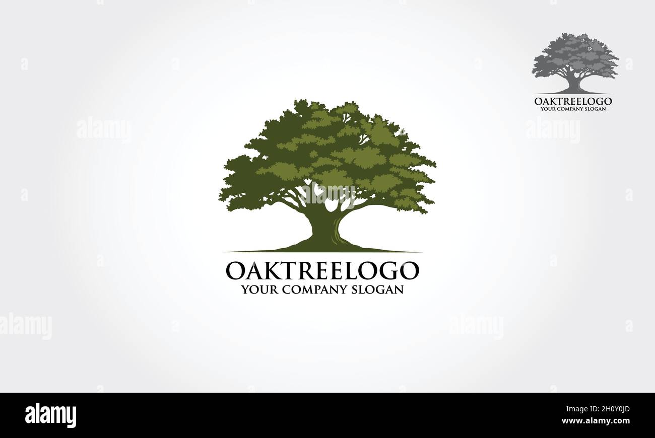 Oak tree logo hi-res stock photography and images - Alamy
