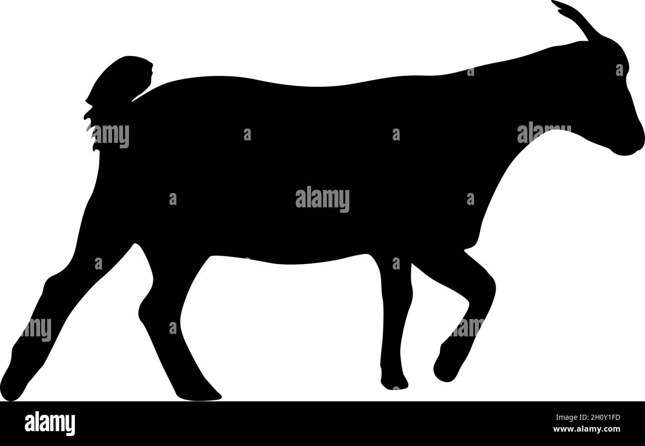 Silhouette goat animal farm on a white background Stock Vector Image & Art Alamy