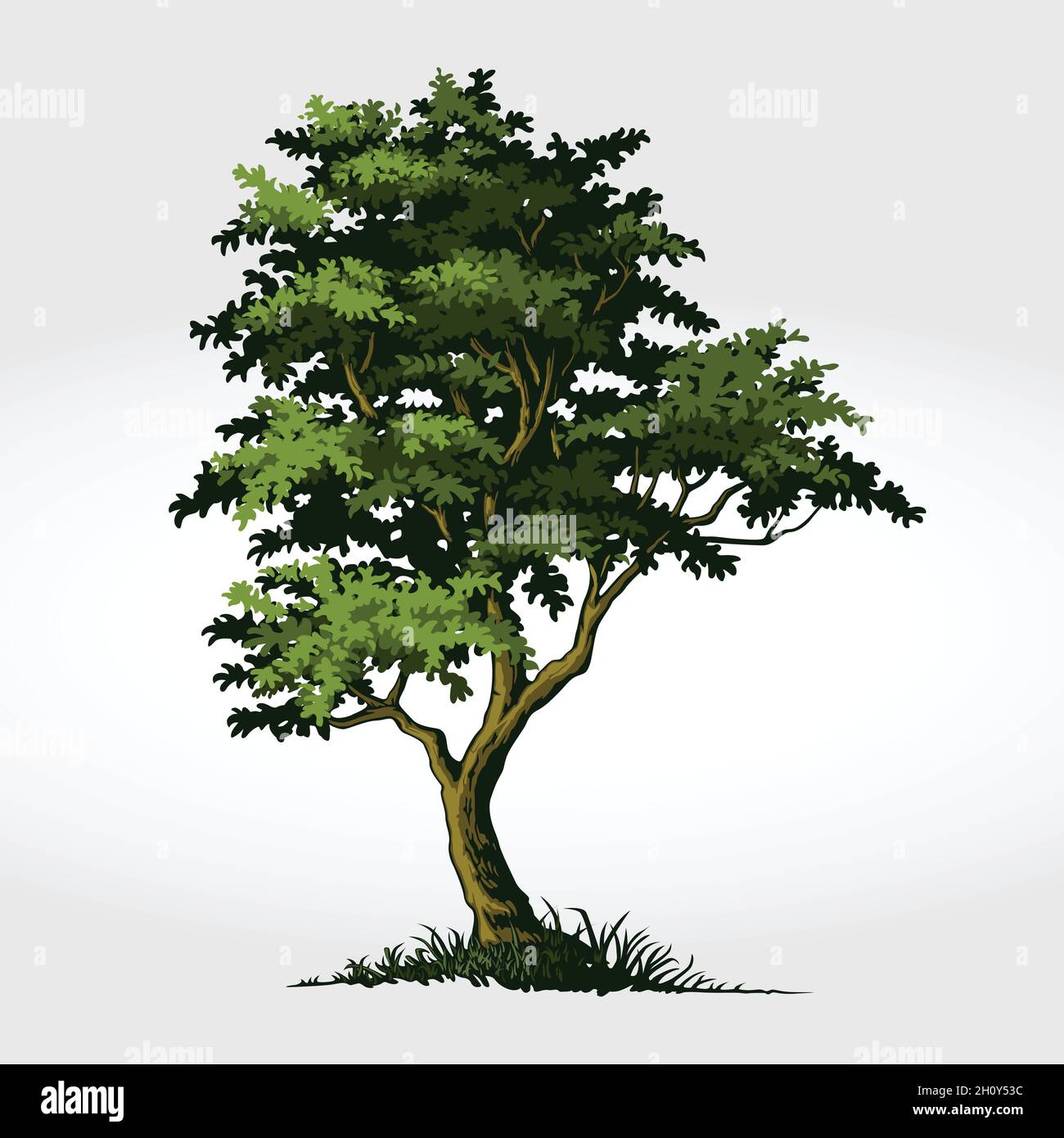 Tree Vector Illustration. Tree a symbol of strength, power, longevity ...