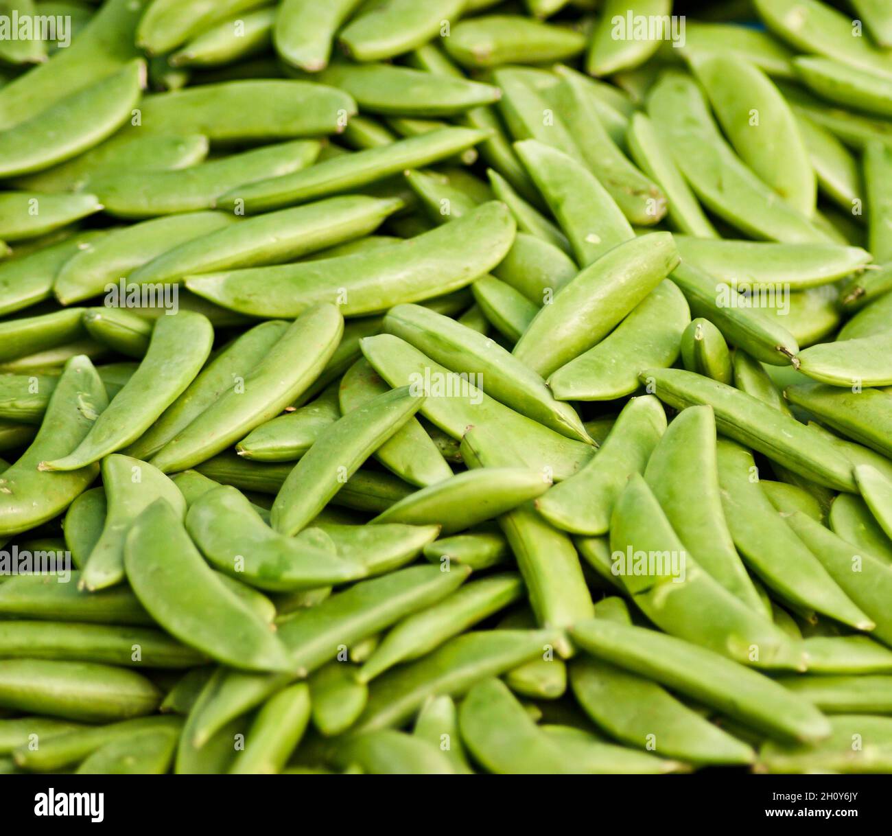 Green bean hi-res stock photography and images - Alamy