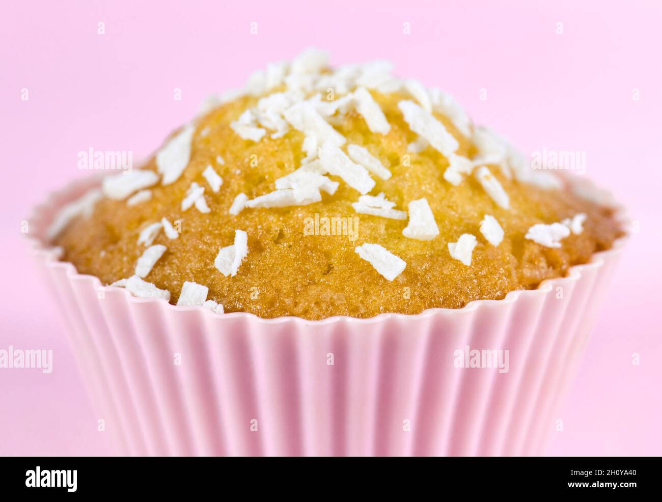 Coconut fairy cake, or cupcake, close up with pink background Stock Photo