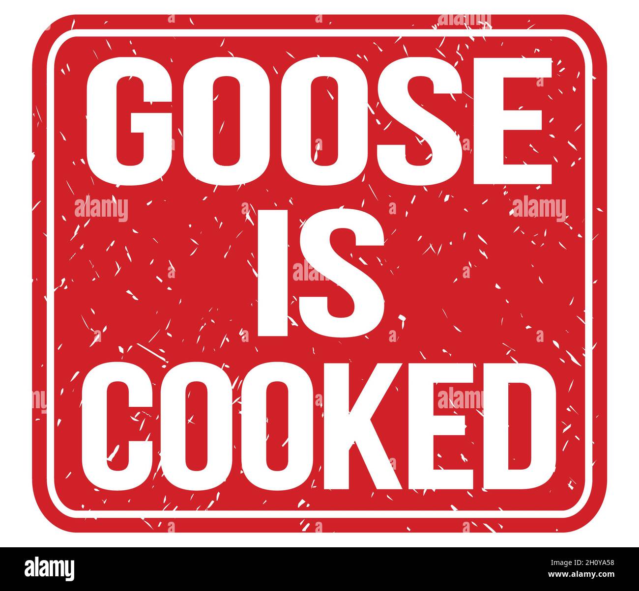 GOOSE IS COOKED, text written on red vintage stamp sign Stock Photo